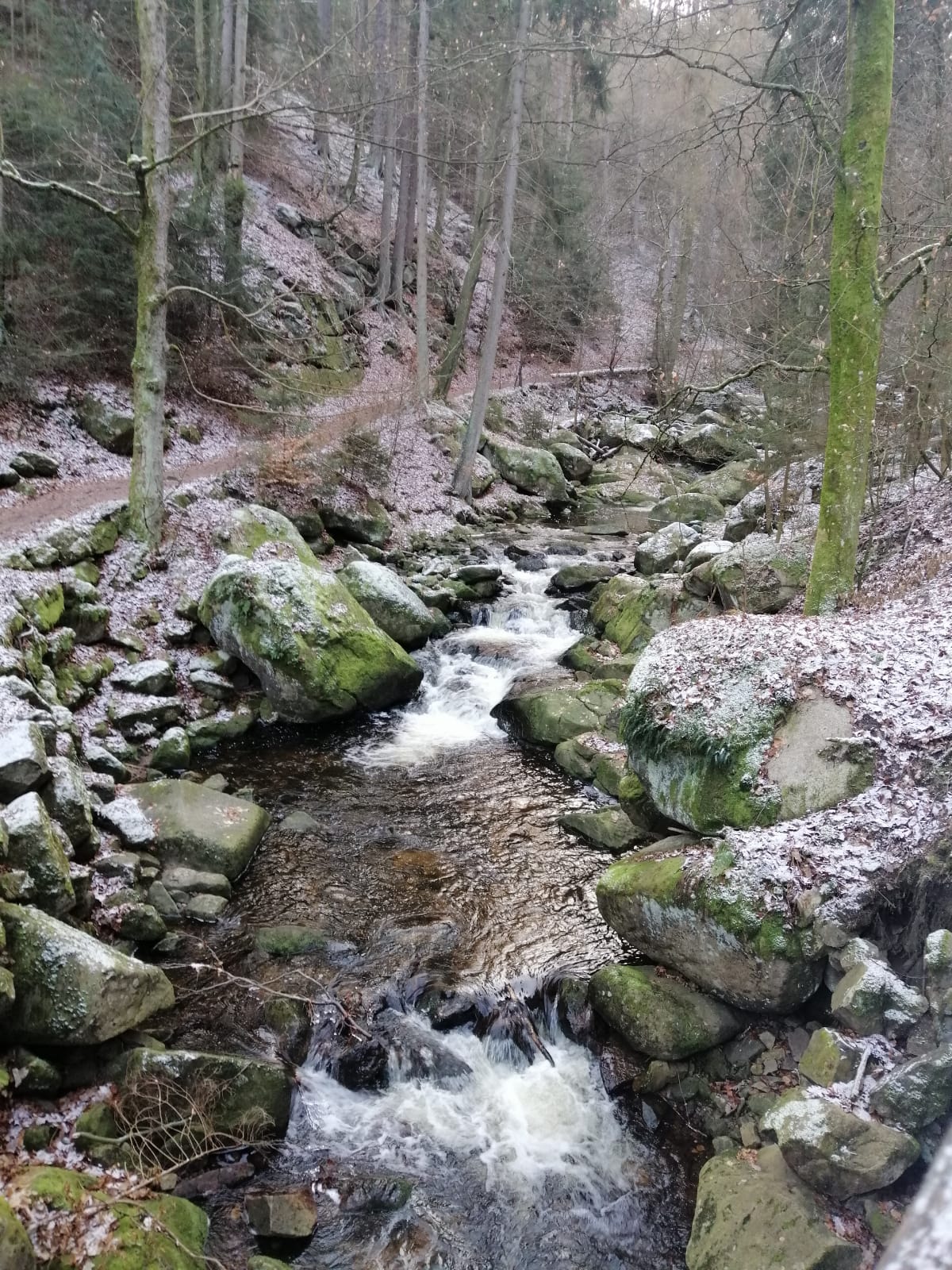 Brocken2019 6